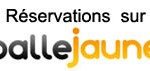 logo_balle_jaune_accueil